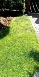 09eabc7b3580eebc1fd5c790833345dd