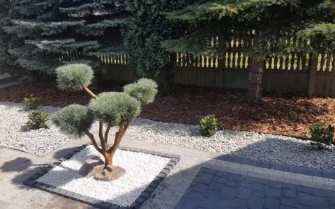 1820319ff7b0c9e13c54b07a6feea47d