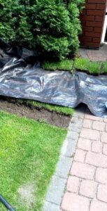 2647e6eab5ec5db310cdc953cbef1fb5