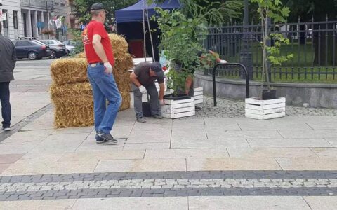 4e9c8bb4755b7e2c9095899db6b564fd