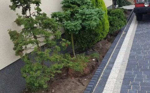 57e90d942607502673433e61f6b95081