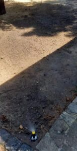 61585eb743cacad0add022cb8879c7b3