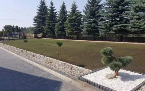 8f579d9679dbd08a9a2d9611340261ff