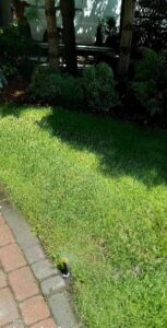 9dc8de1595fb64aaf3a970dd2fe6449a