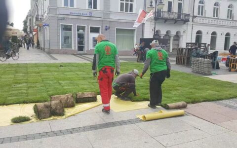 b8ee7ac561d0ad077bc8253487a08ac5