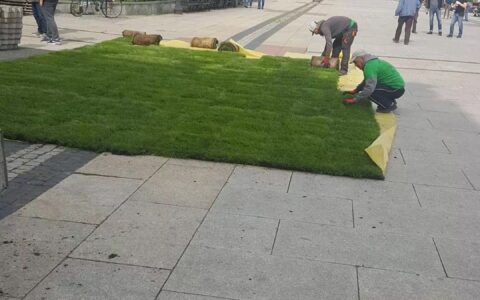 cbf2ffebaa4332f90e5b53f69b6cbcb8