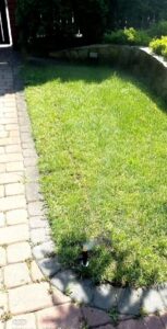 d1b30d701ef9416c54260b5486031400