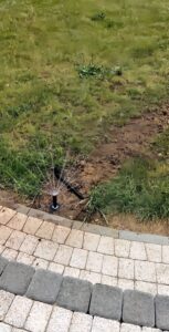 d3264cc5e1d04087f18a96e9d5c374f5