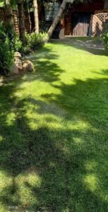 fc3c631fa52c42ac1c221c5b7730112b